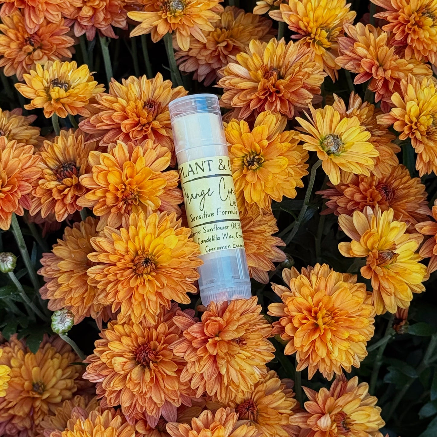 Orange Cinnamon Lip Butter - Sensitive