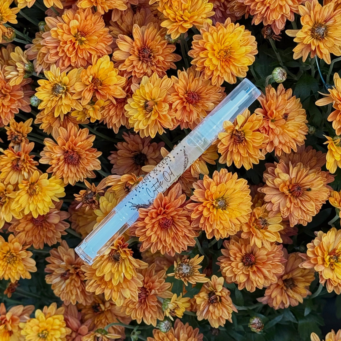 Cuticle Oil