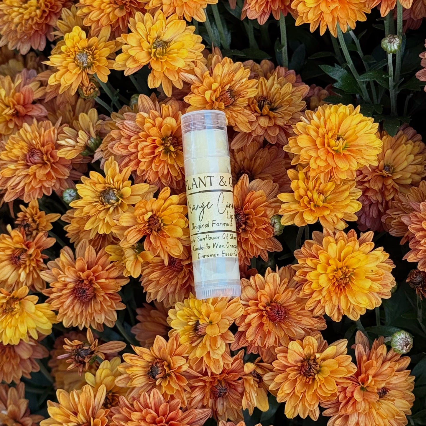 Orange Cinnamon Lip Butter - Original