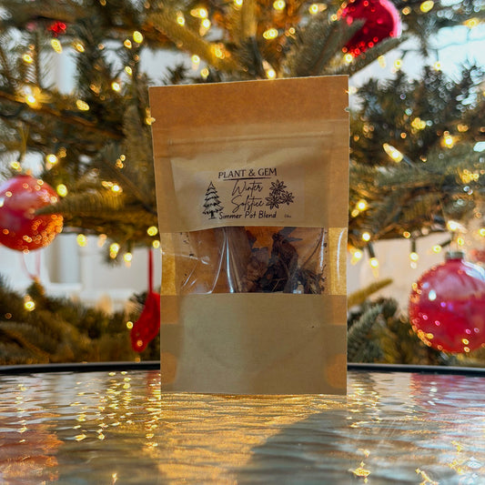 Winter Solstice Simmer Pot Blend