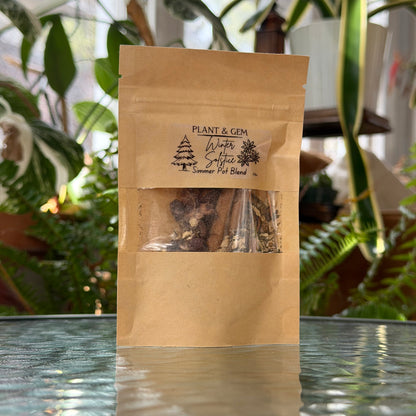 Winter Solstice Simmer Pot Blend