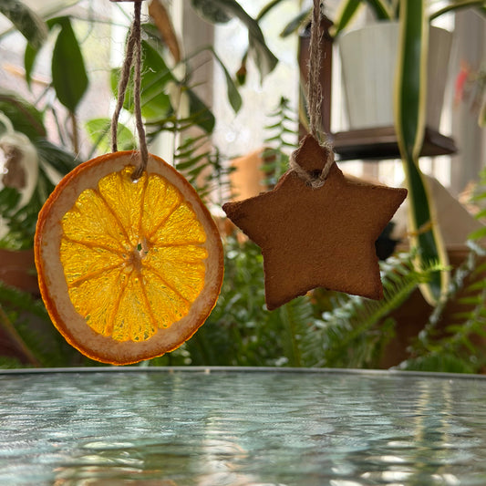 Winter Solstice Ornaments