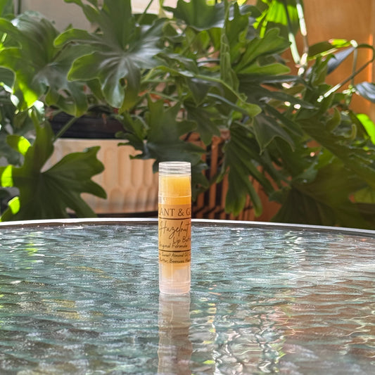 Hazelnut Cocoa Lip Butter - Original
