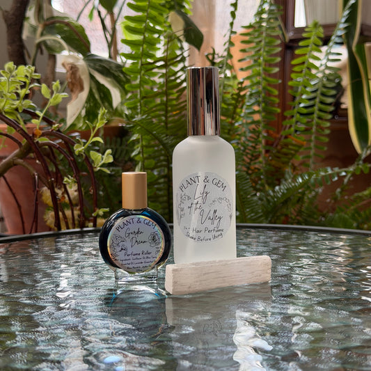 Spring Equinox In Bloom Box